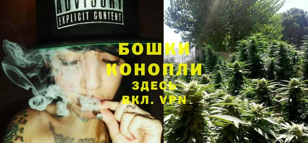 сатива Абаза