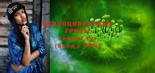 сатива Абаза